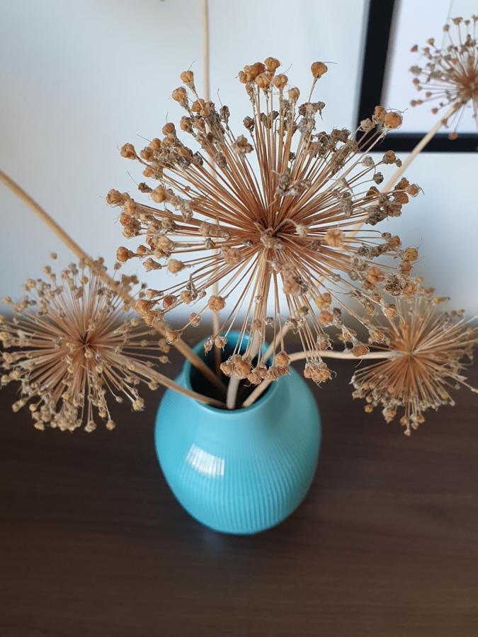 Ferienapartment Voegelsen Vogelsen Kültér fotó